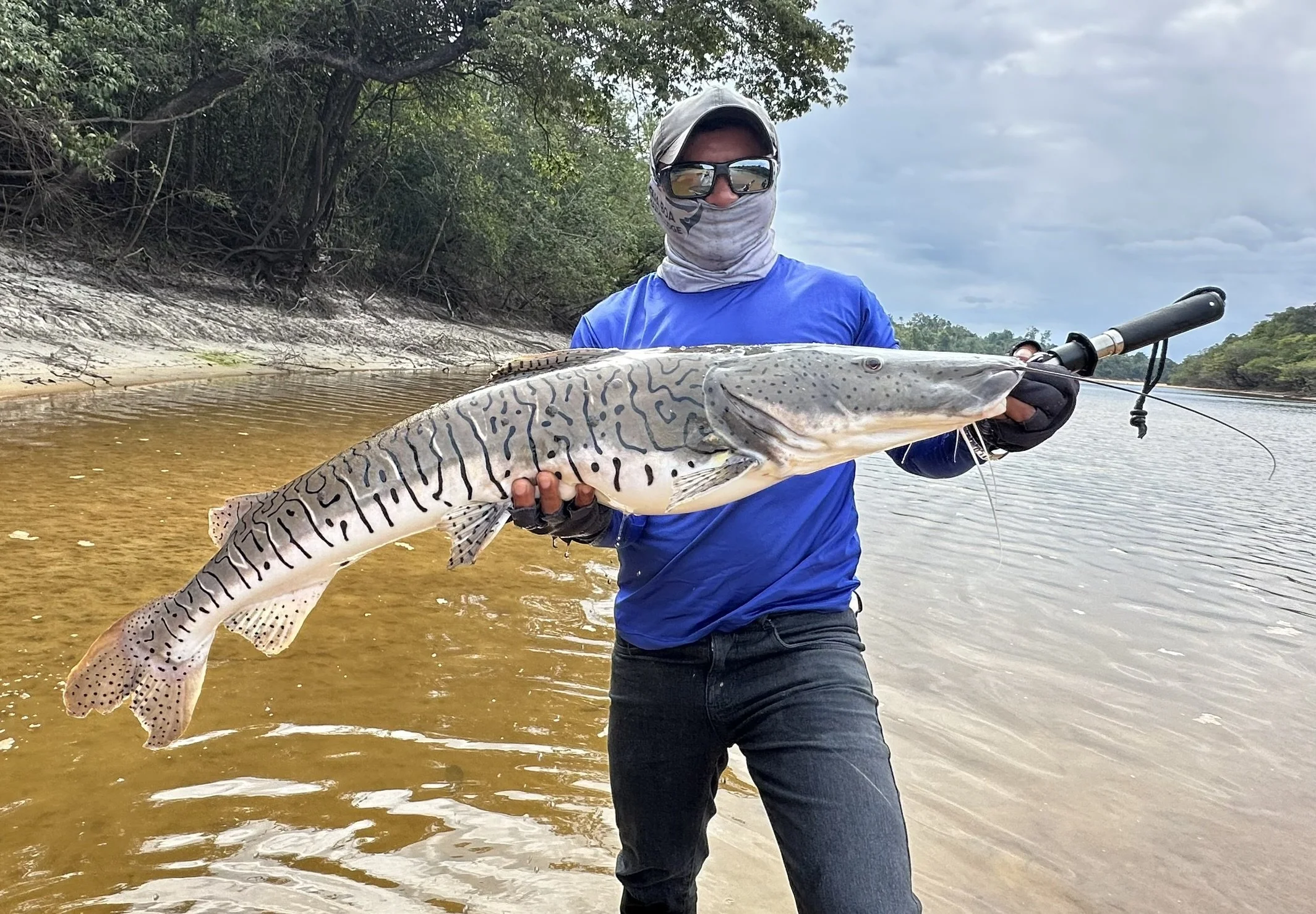 Angler holding a large shovelhead catfish caught on the Agua Boa River in Brazil,