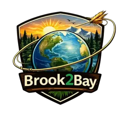 Brook2Bay