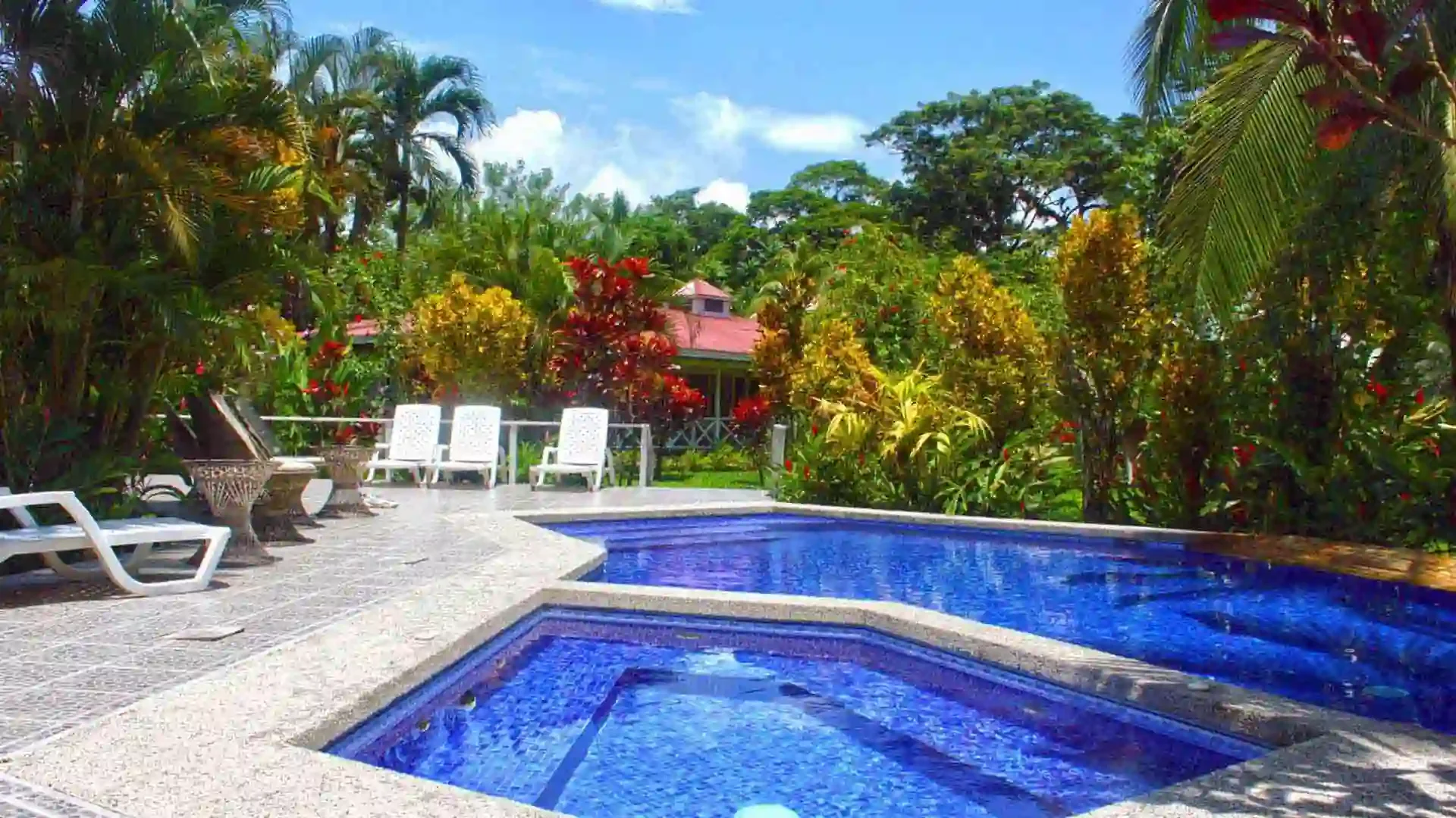 rio-parismina-lodge-pool-area-costa-rica.webp