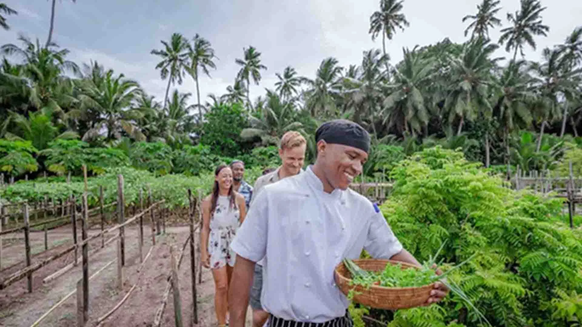 cook from alphonse island lodge leading guests through garden to pick fresh herbs for dinner