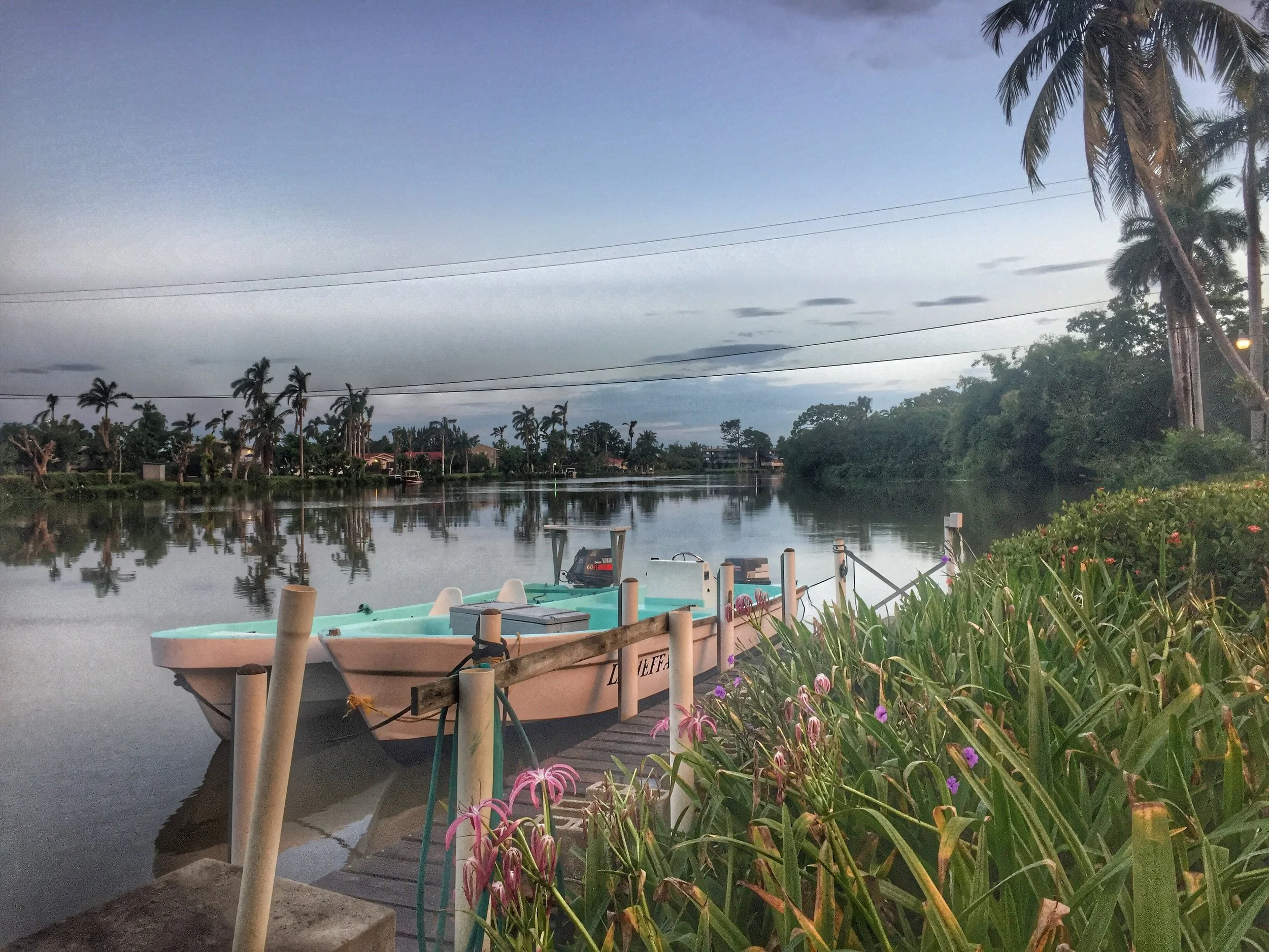 Boats docked at Belize River Lodge on a calm jungle river, surrounded by palm trees and lush tropical vegetation.