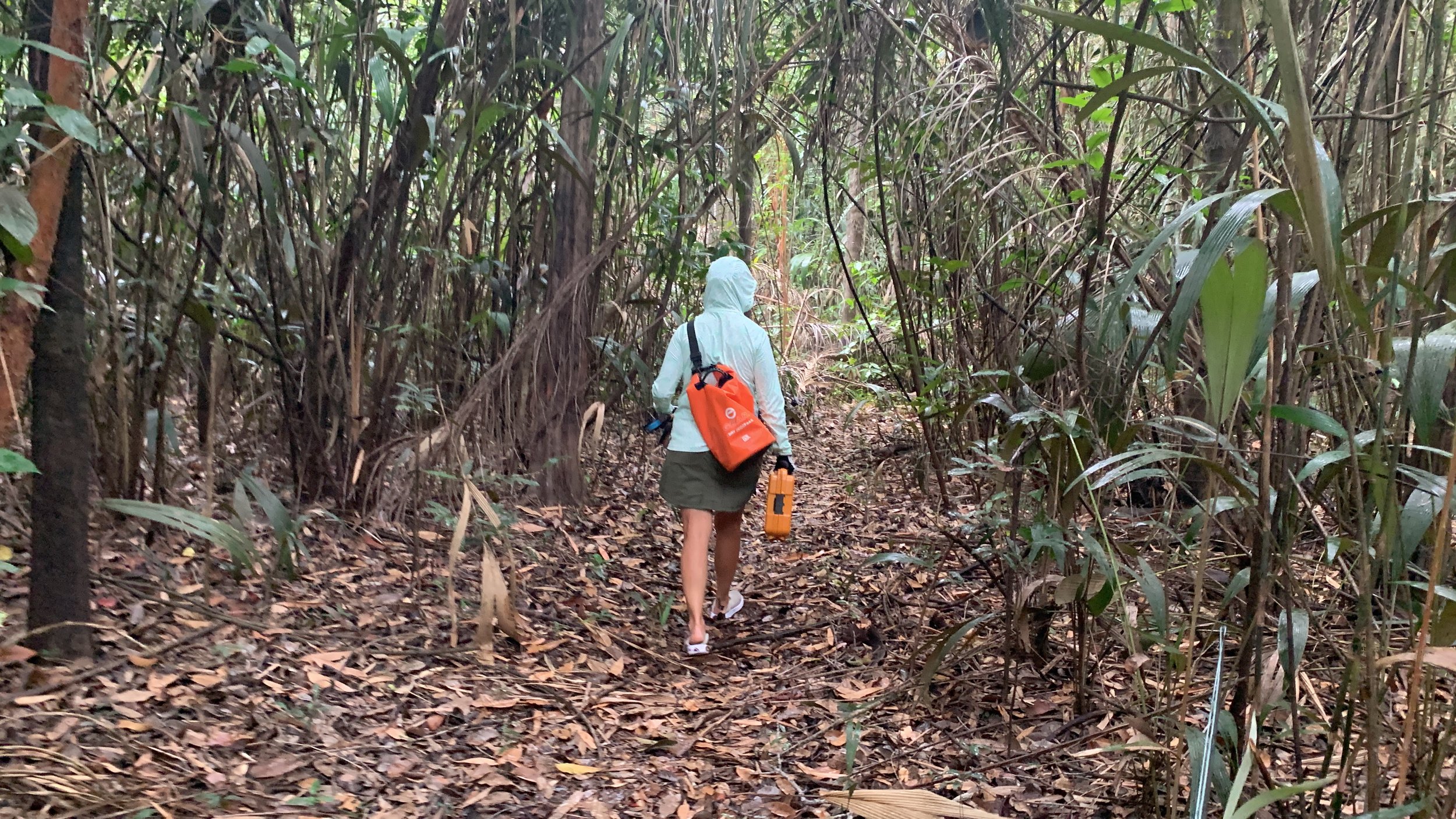 Angler walking through the Amazon jungle while fishing from Agua Boa Amazon Lodge in Brazil