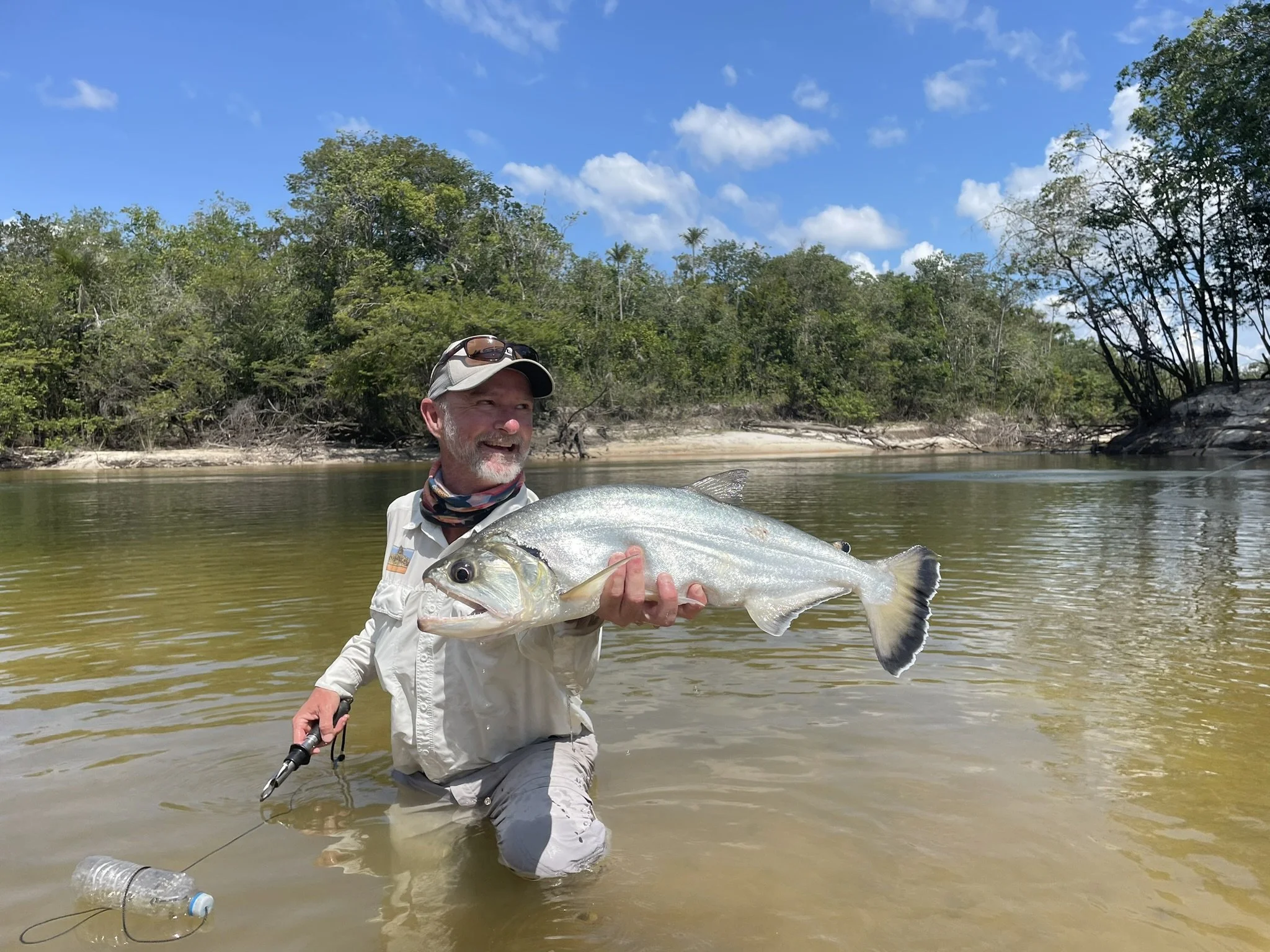 Payara, also known as vampire fish, caught on the Agua Boa River in Brazil, one of the many exotic freshwater species anglers can target.