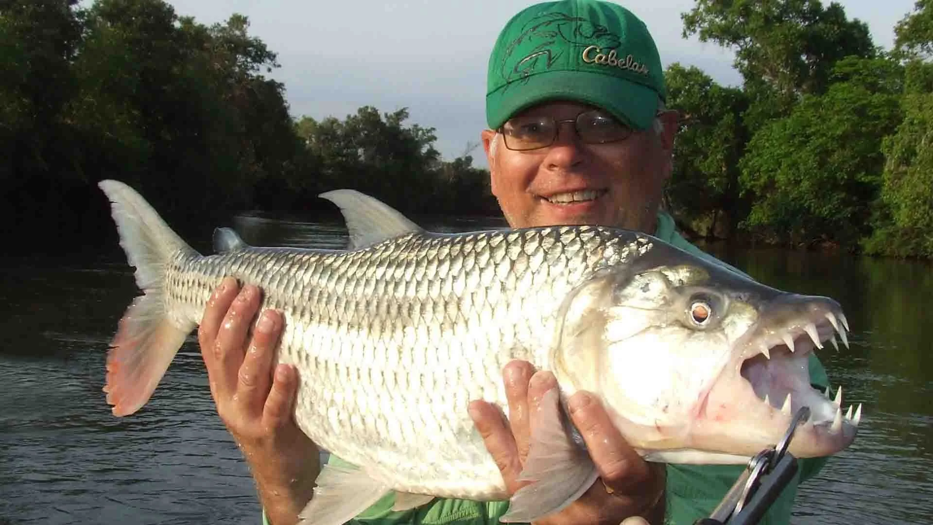tanzania-tigerfish-fly-fishing-river.jpeg