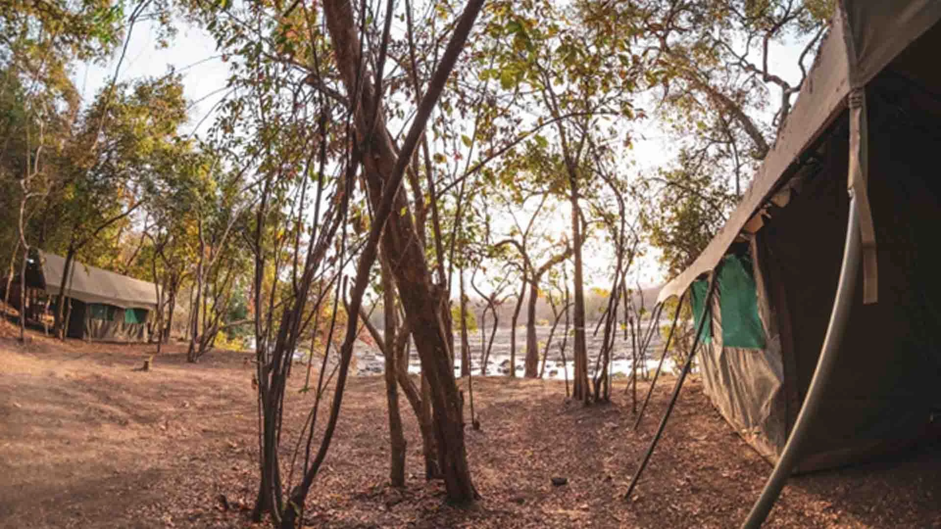 Scenic view of the Faro river basecamp, a top African fishing destination known for giant perch adventures