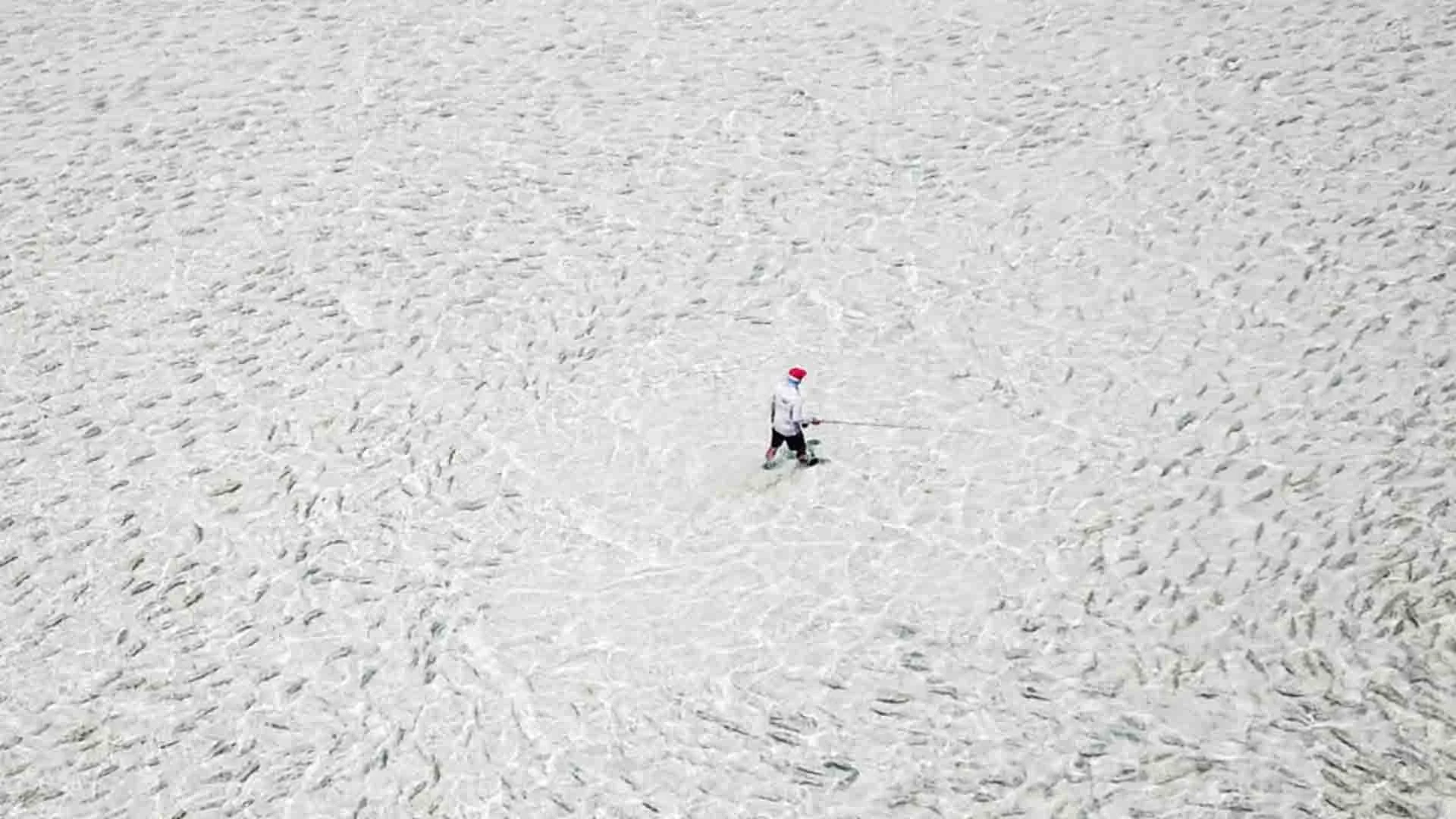 angler wading on clear sandy flat at alphonse island lodge surrounded by massive school of bonefish