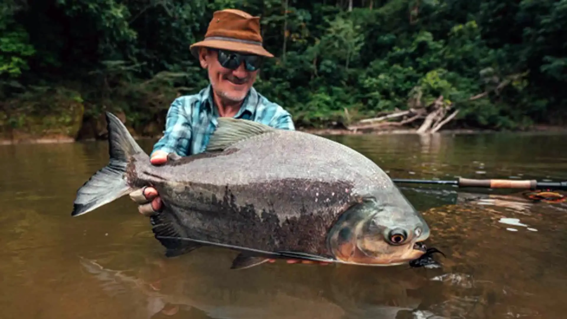 Angler kneeling in river holding a large pacu at Tsimane Pluma Lodge, Bolivia, during fly fishing expedition