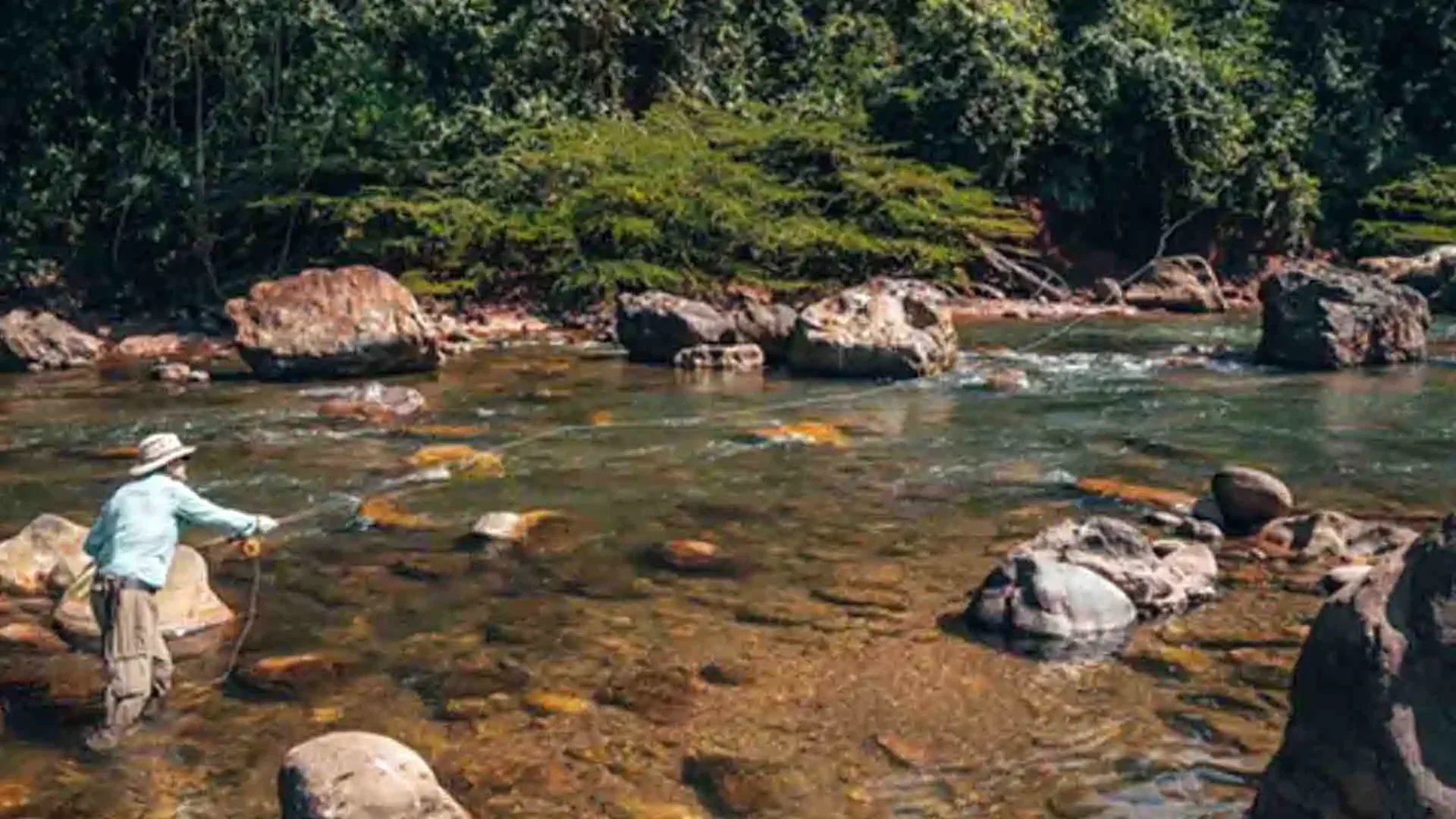 Angler fly fishing in a crystal-clear stream at Tsimane Pluma Lodge, Bolivia, surrounded by pristine jungle