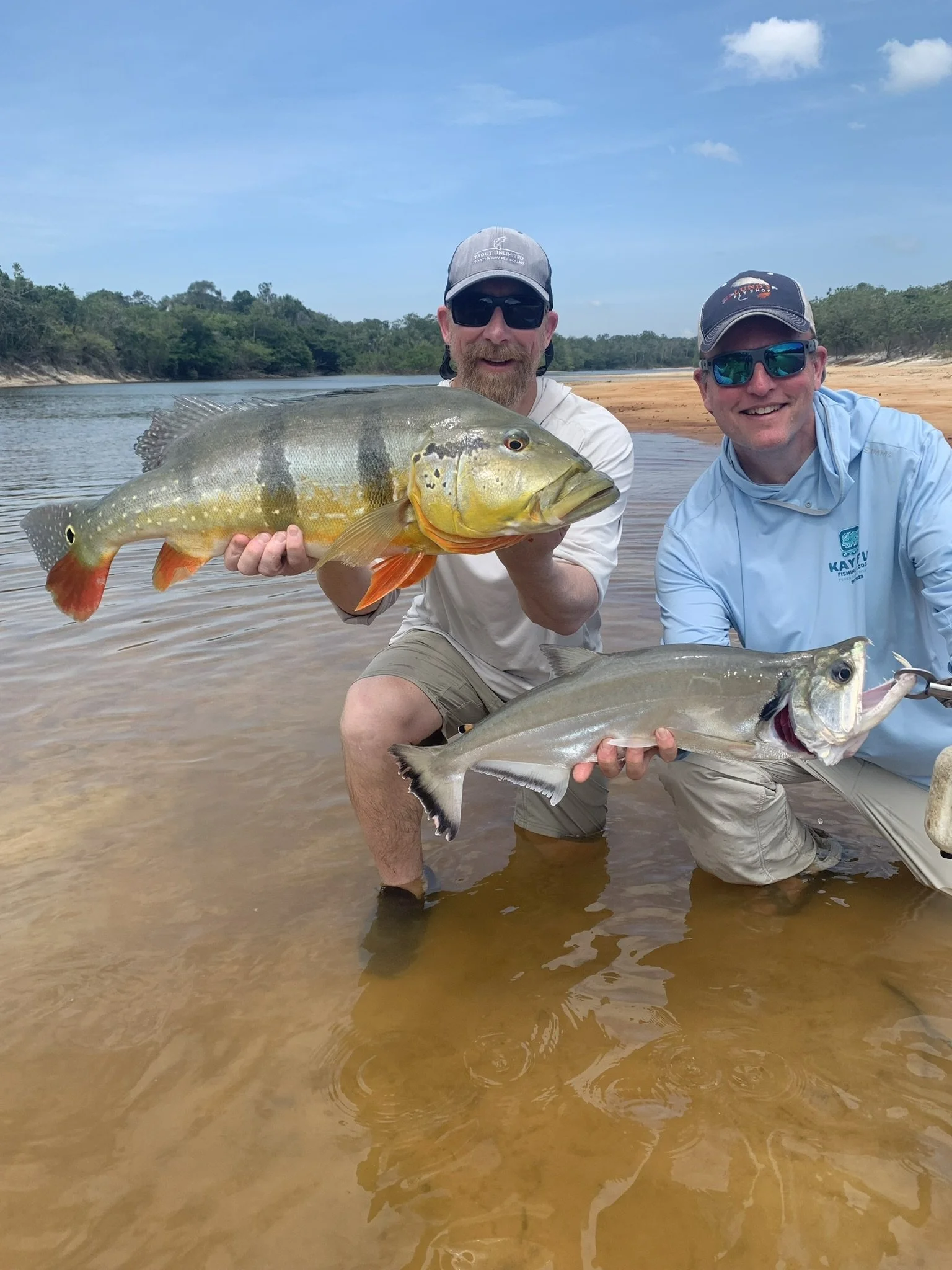 Two anglers holding a large peacock bass and a payara vampire fish on a shallow riverbank of the Agua Boa River with trees and a blue sky in the background.