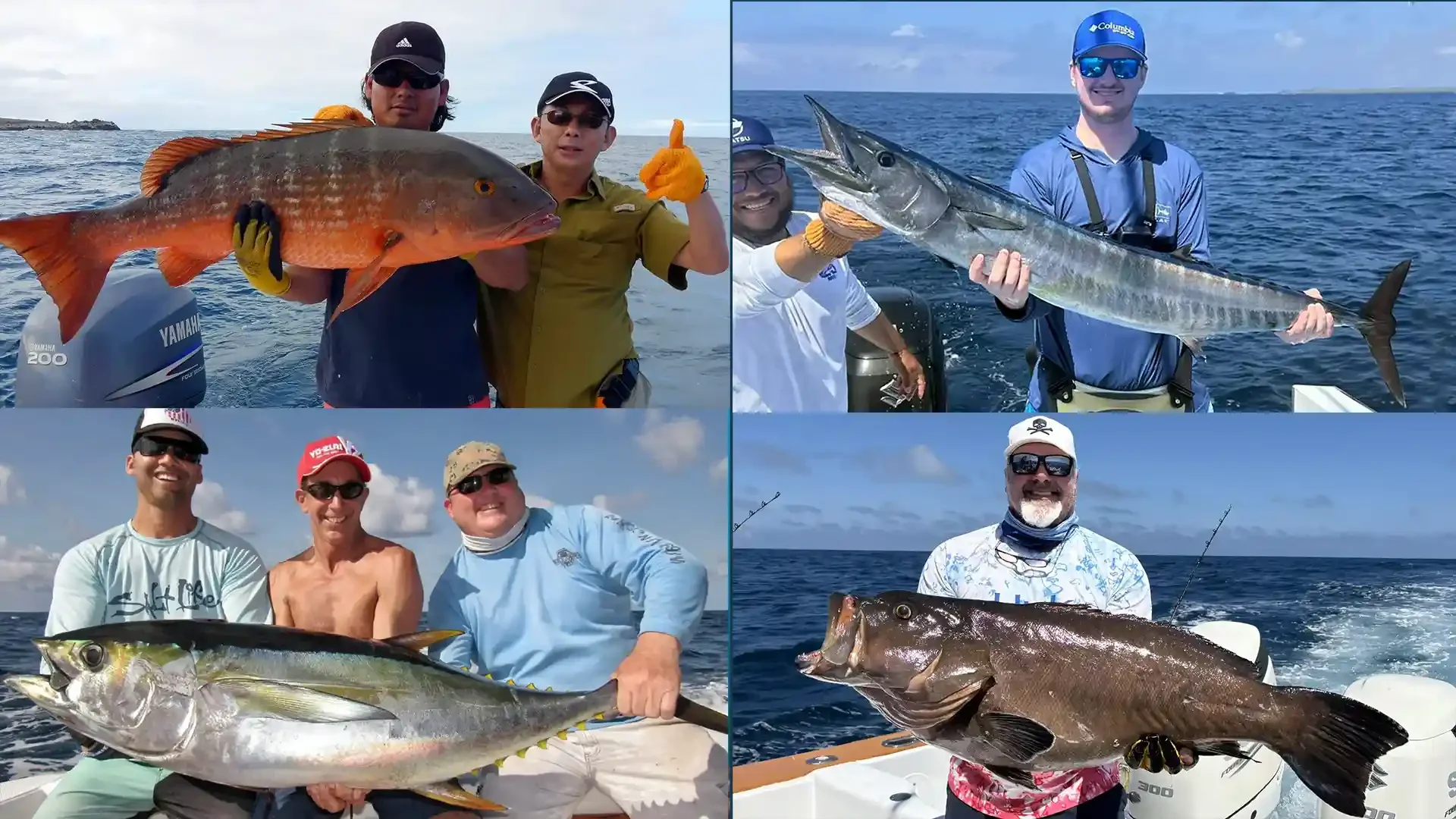 Anglers proudly display their catches from the Galapagos Islands: a red snapper, wahoo, yellowfin tuna, and a large grouper.