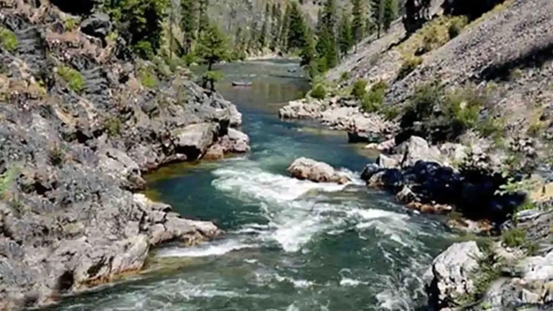 Scenic view of the Middle Fork of the Salmon River, a freestone river, flowing through a rocky canyon with evergreen trees.