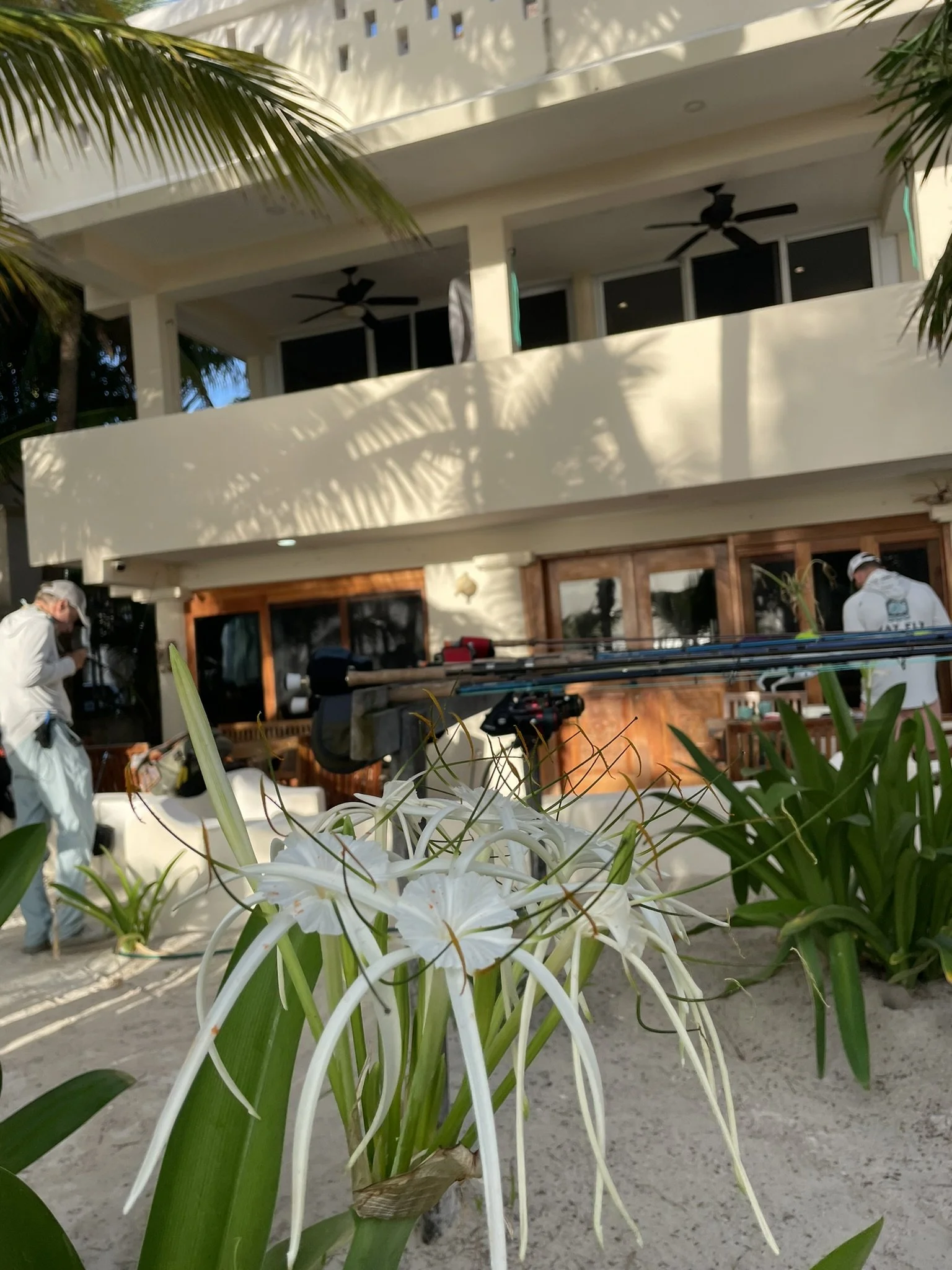 Guests at Kay Fly Beachside Lodge with white exterior, balcony, and palm trees preparing for a day of fishing in Ascension Bay.