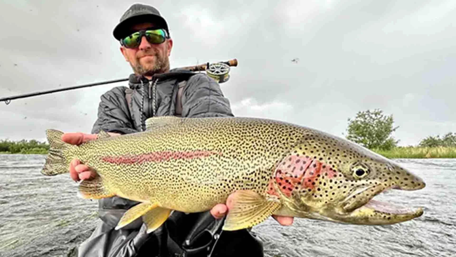 angler holding rainbow trout alaska fishing lodge
