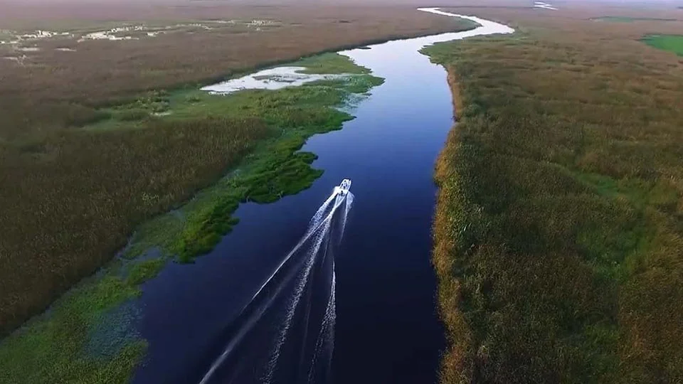 Golden Dorado Fly Fishing