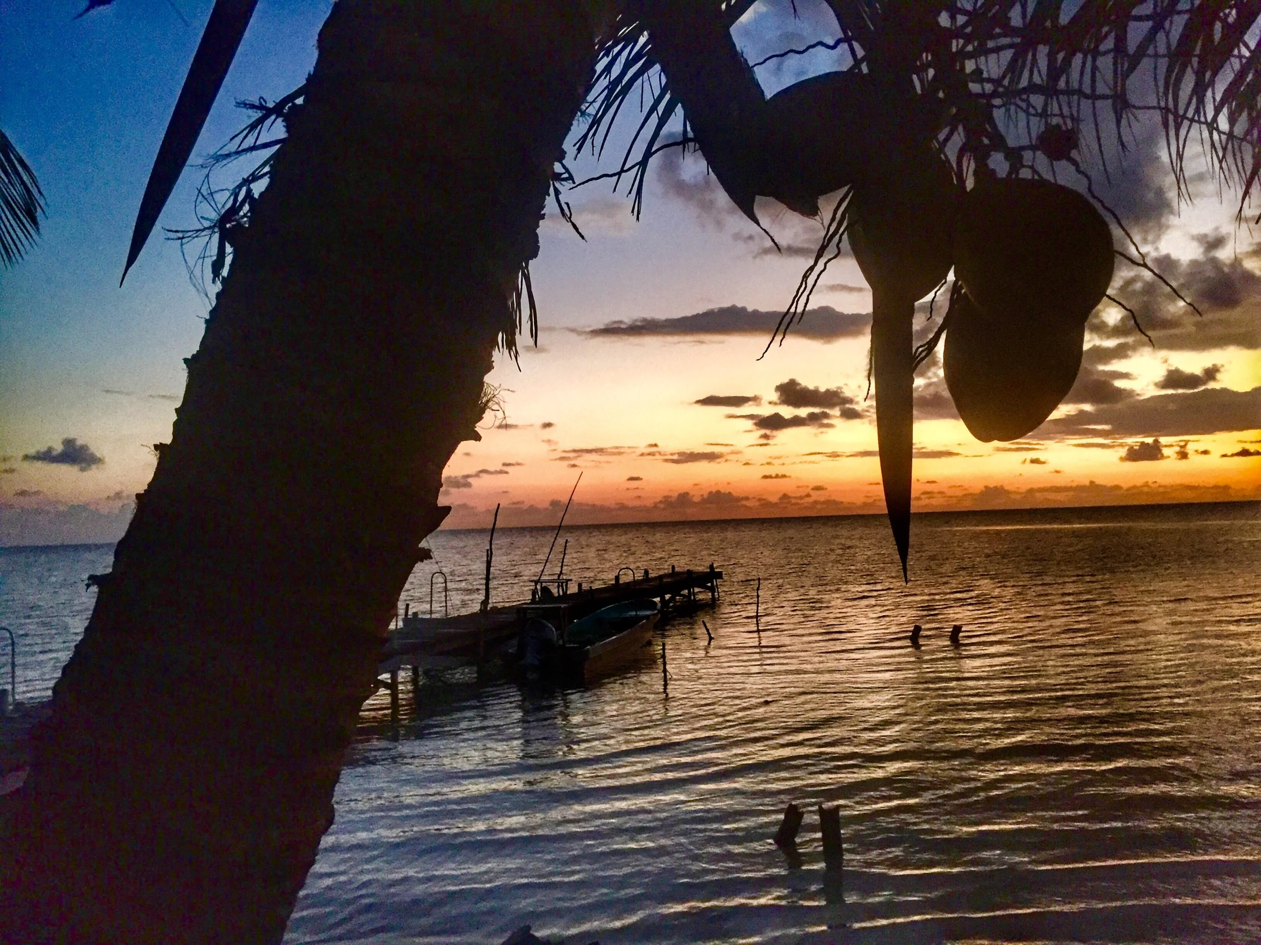 Silhouette of a palm tree trunk and leaves near a body of water at sunset, with boats docked and two people swimming in the distance.