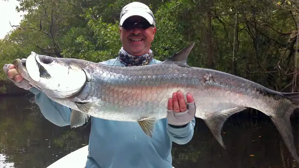 angler-holding-tarpon-mangroves-campeche-mexico.webp.webp