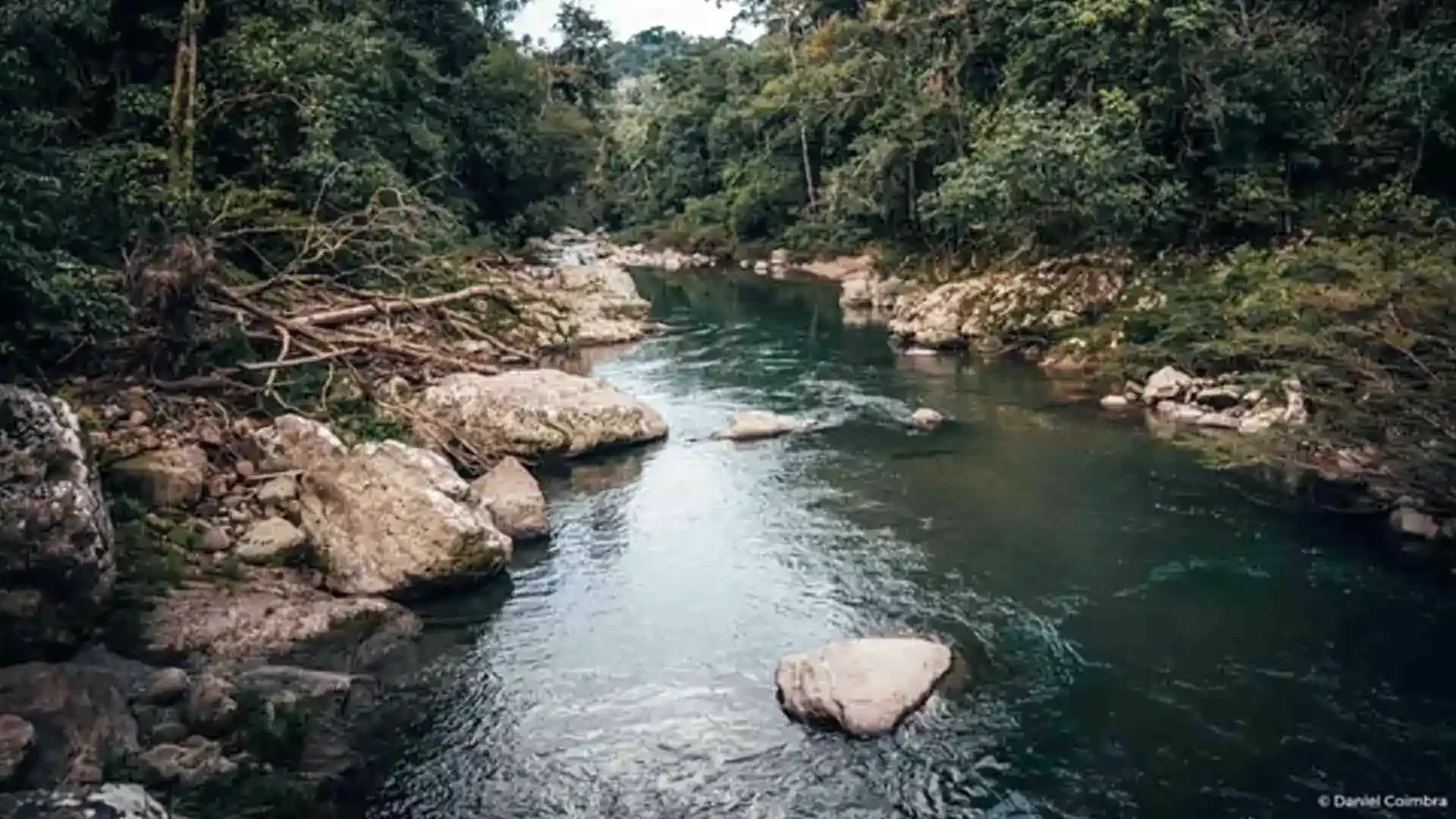 Tsimane anglers fishing on a rock-lined jungle river in Bolivia