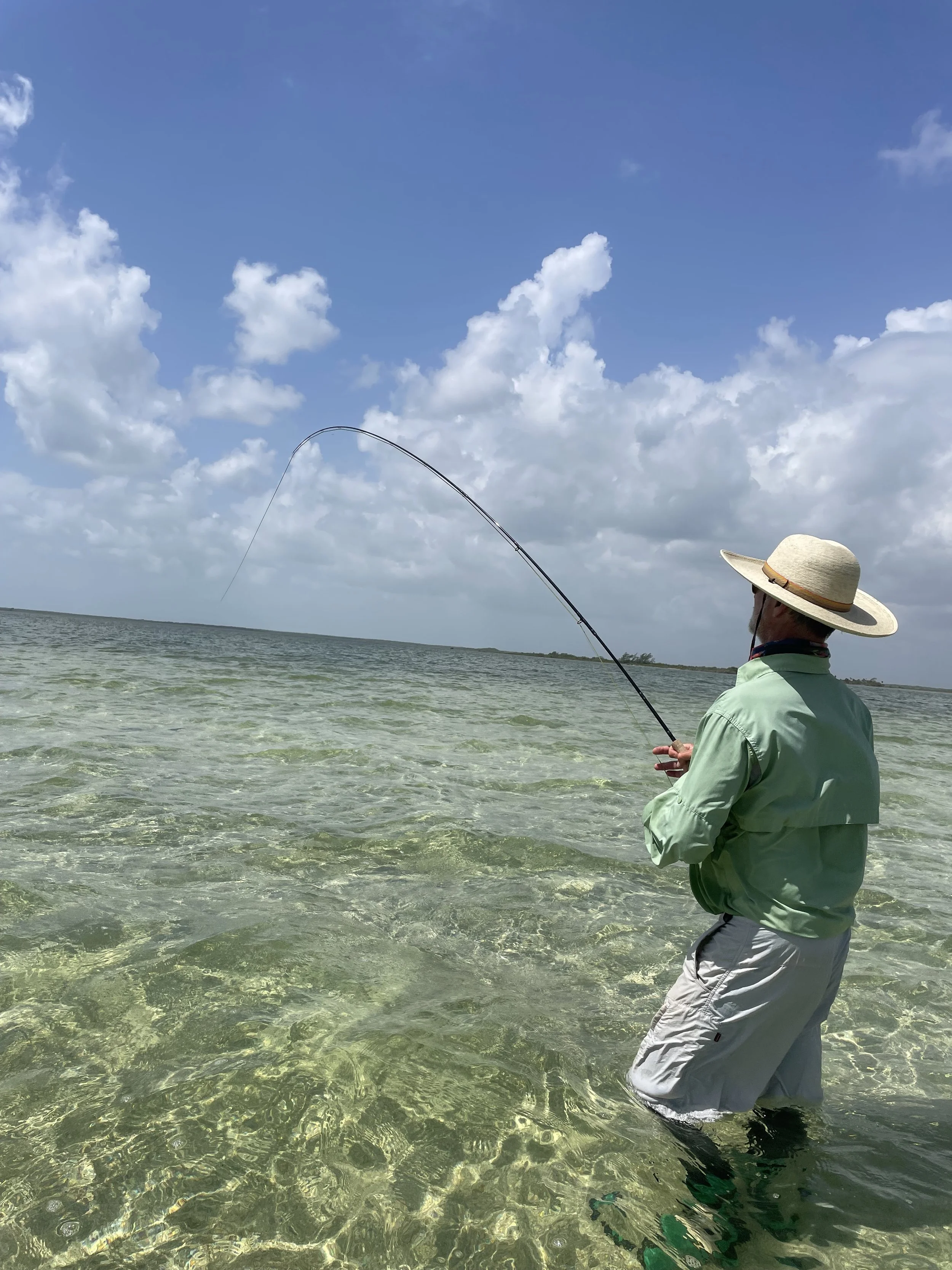 Angler wearing a large hat, green shirt, and shorts standing in clear waters of Ascension Bay fighting a permit.