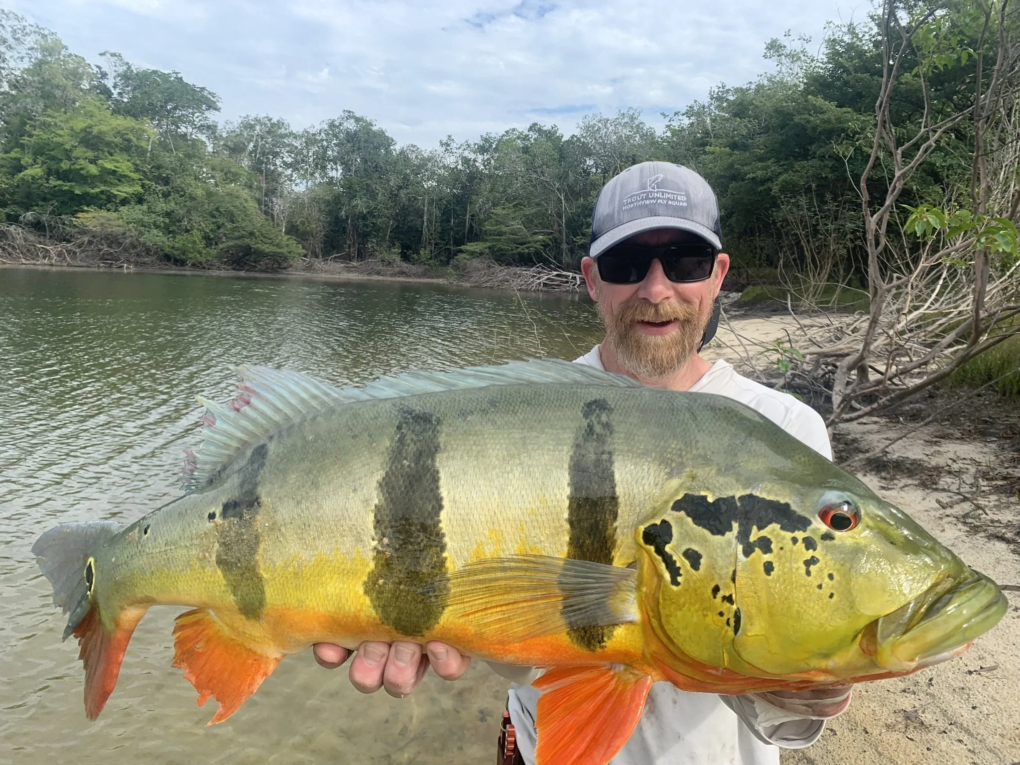 Man wearing sunglasses and a hat holding a large peacock bass on the shoreline of the Agua Boa River with water and trees in the background.
