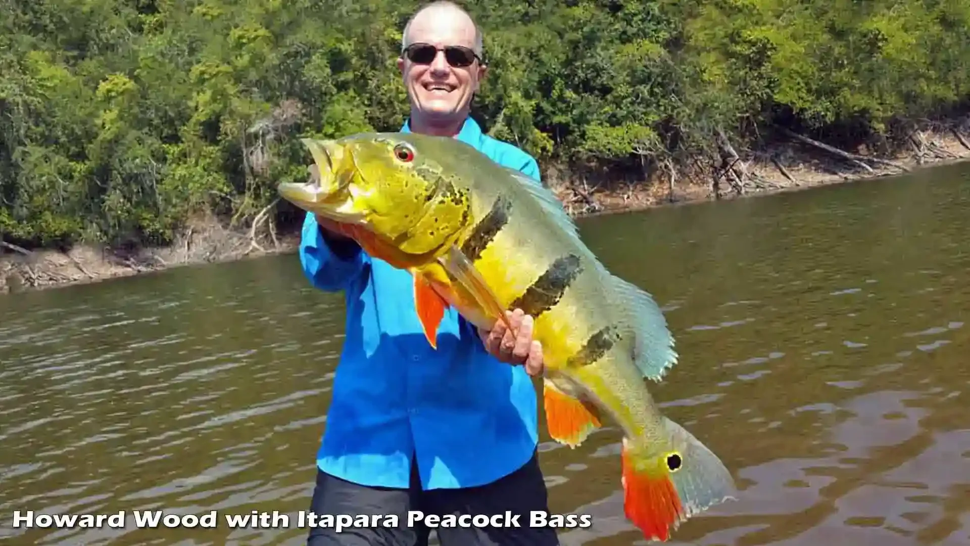 howard-wood-itapara-peacock-bass-itaparalodge-brazil-fishing.webp