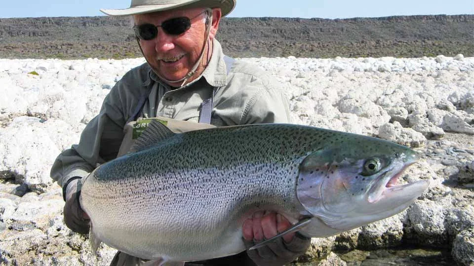 Argentina fly fishing adventure: angler holding huge rainbow trout at Jurassic Lake, Estancia Laguna Verde Lodge.