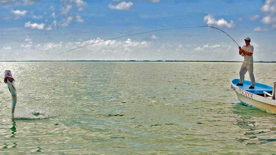 belize-tarpon.jpg