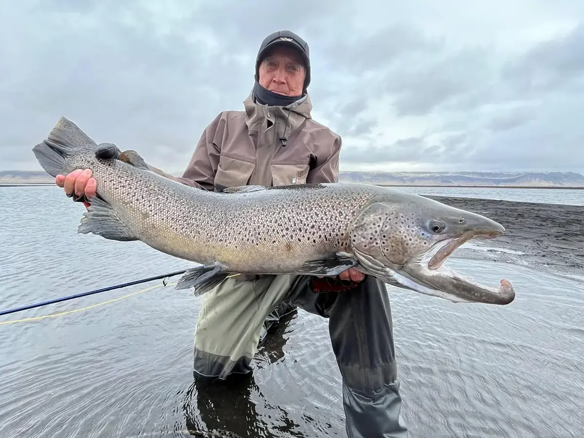 Fly fisherman at Battle Hill Lodge holding a massive Icelandic brown trout with a kype in a freestone river.