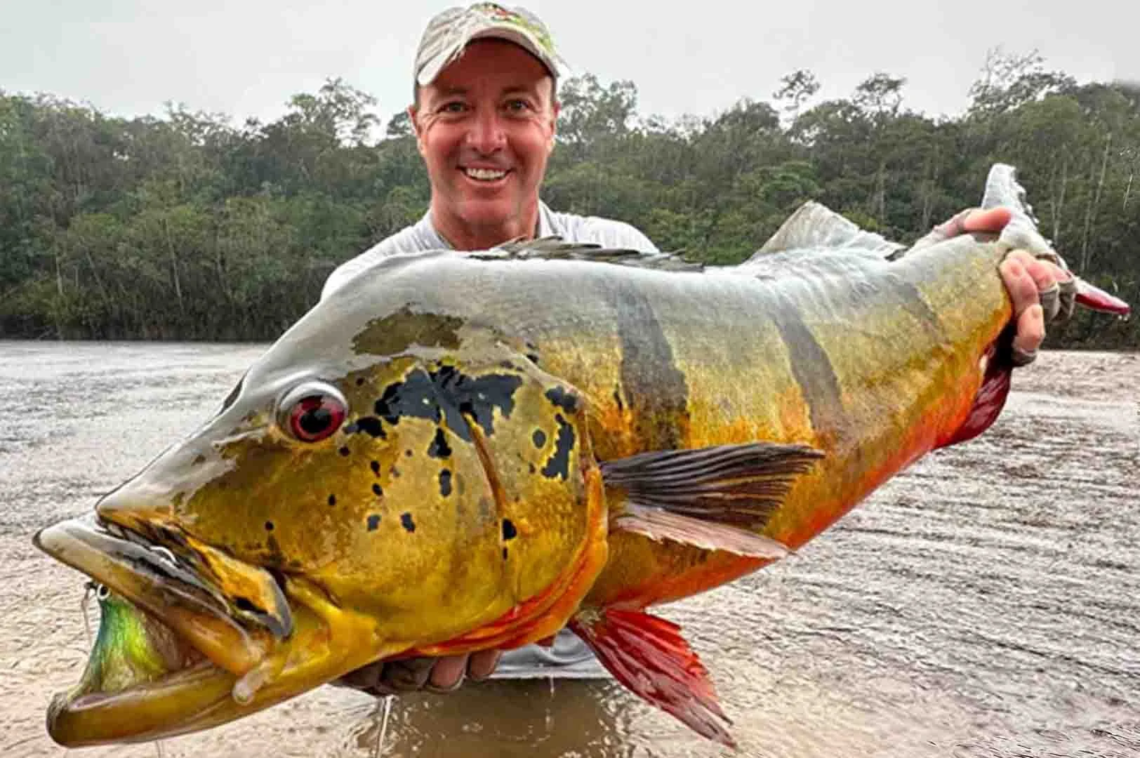 world-record-peacock-bass.jpg