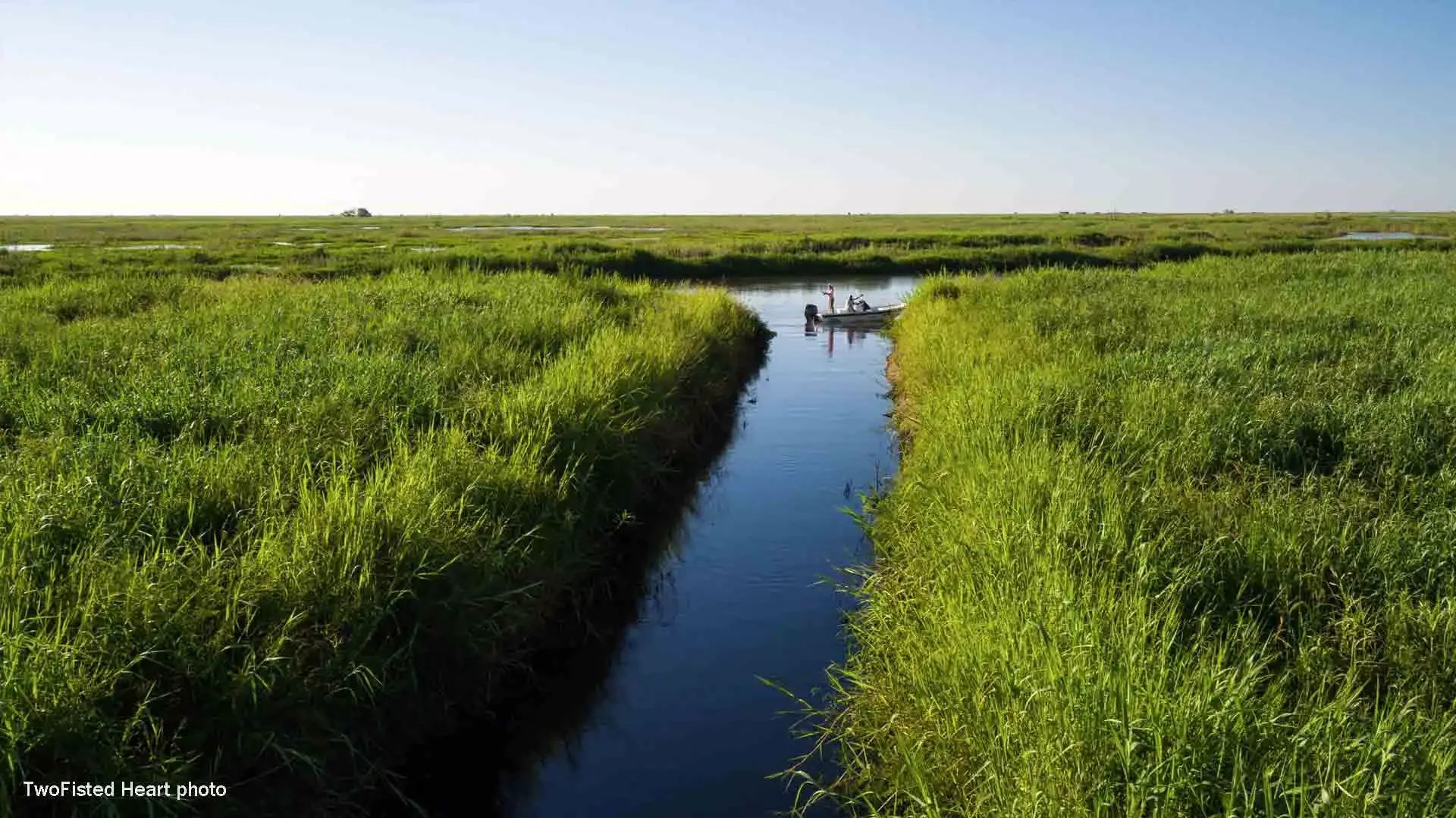 A marshland with tall green grasses and a narrow waterway running through it. In the distance, a small boat with a person standing and another seated is visible on the water. The sky is clear and blue.