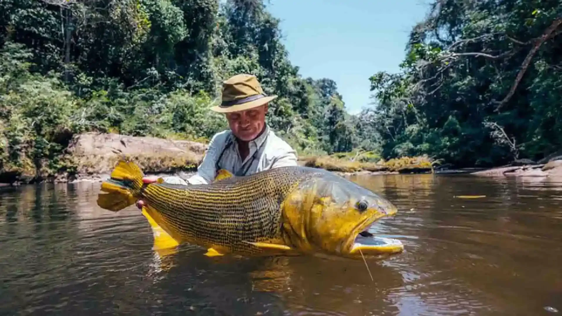 Angler holding Giant golden dorado.webp