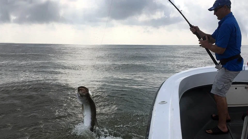massive-tarpon.jpg