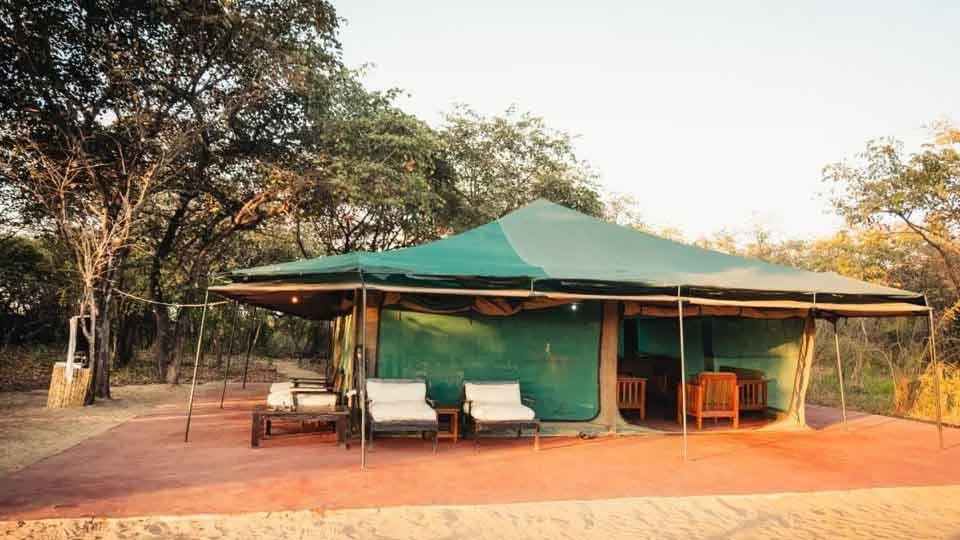 Spacious green safari tent camp with outdoor seating, nestled among trees, offering comfortable accommodation for Tanzania Tigerfish fly fishing trips.