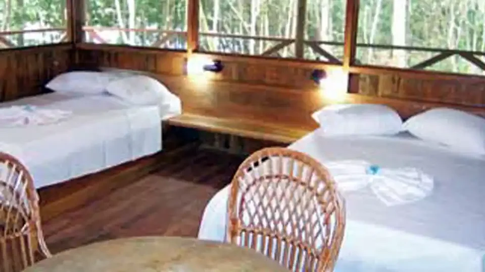 Comfortable guest room at Itapara Lodge in Brazil, featuring two beds, wooden interior, and a lush jungle view.