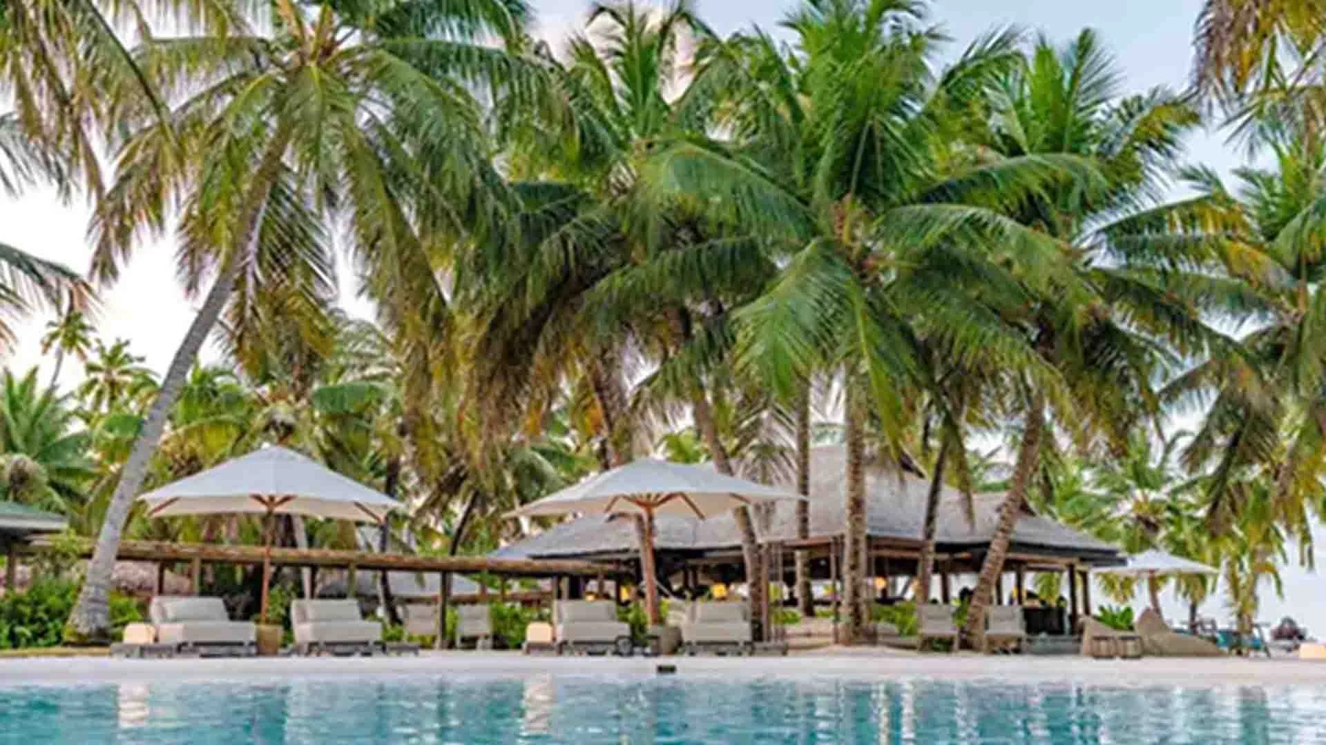 swimming pool with chairs and umbrellas surrounded by palm trees on alphonse island
