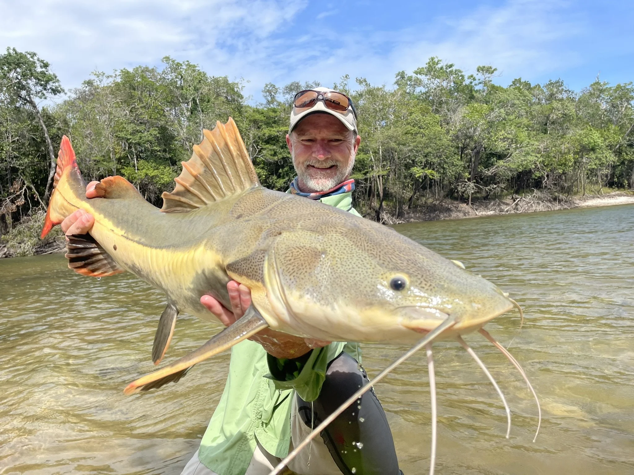 Angler holding a beautiful redtail catfish caught at the Agua Boa Amazon Lodge in Brazil,
