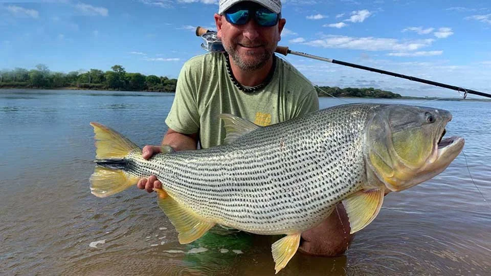 golden-dorado-fly-fishing.html-angler-with-dropped-jaw-holding-a-bright-golden-do-004.jpeg