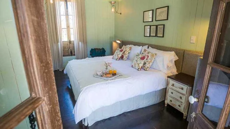golden-dorado-fly-fishing.html-white-spread-on-king-bed-pastel-green-walls-with-d-011.jpeg