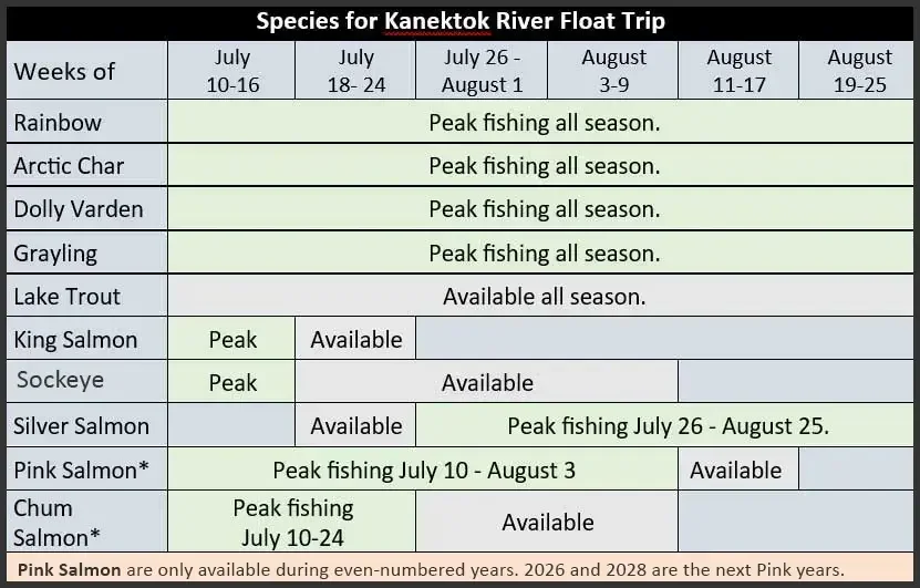 kanektok-river-alaska-duncans-float-fish-species-calendar.webp