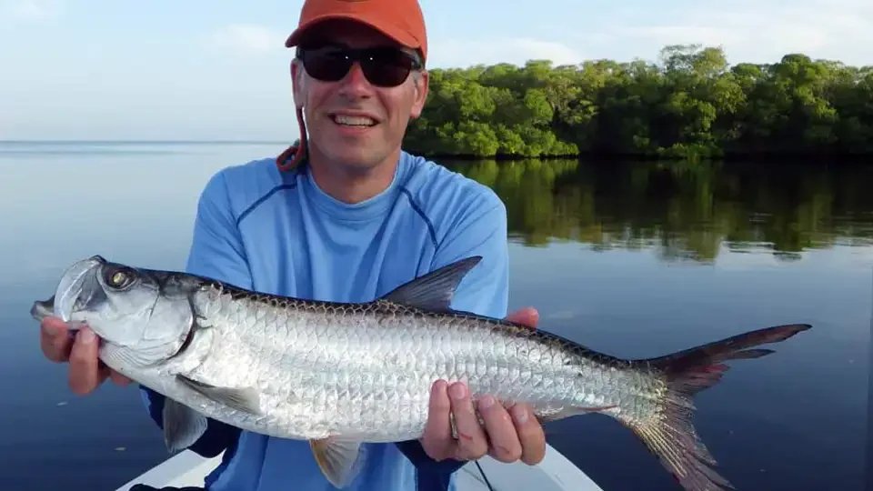 Angler holding a small juvenile tarpon at Tarpon Town Lodge in Campeche, Mexico, in shallow mangrove flats.
