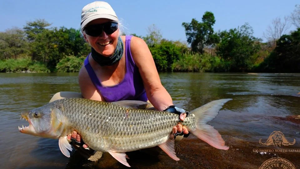 Woman angler smiling with a large tigerfish caught fly fishing on the Kilombero River, Tanzania, with Kilombero North Safari.