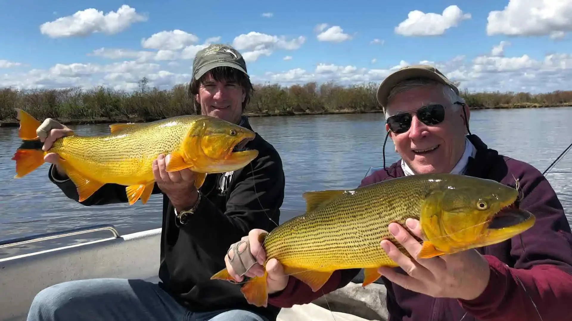 Two men on a boat holding large yellowish fish with green stripes, with water and trees in the background.