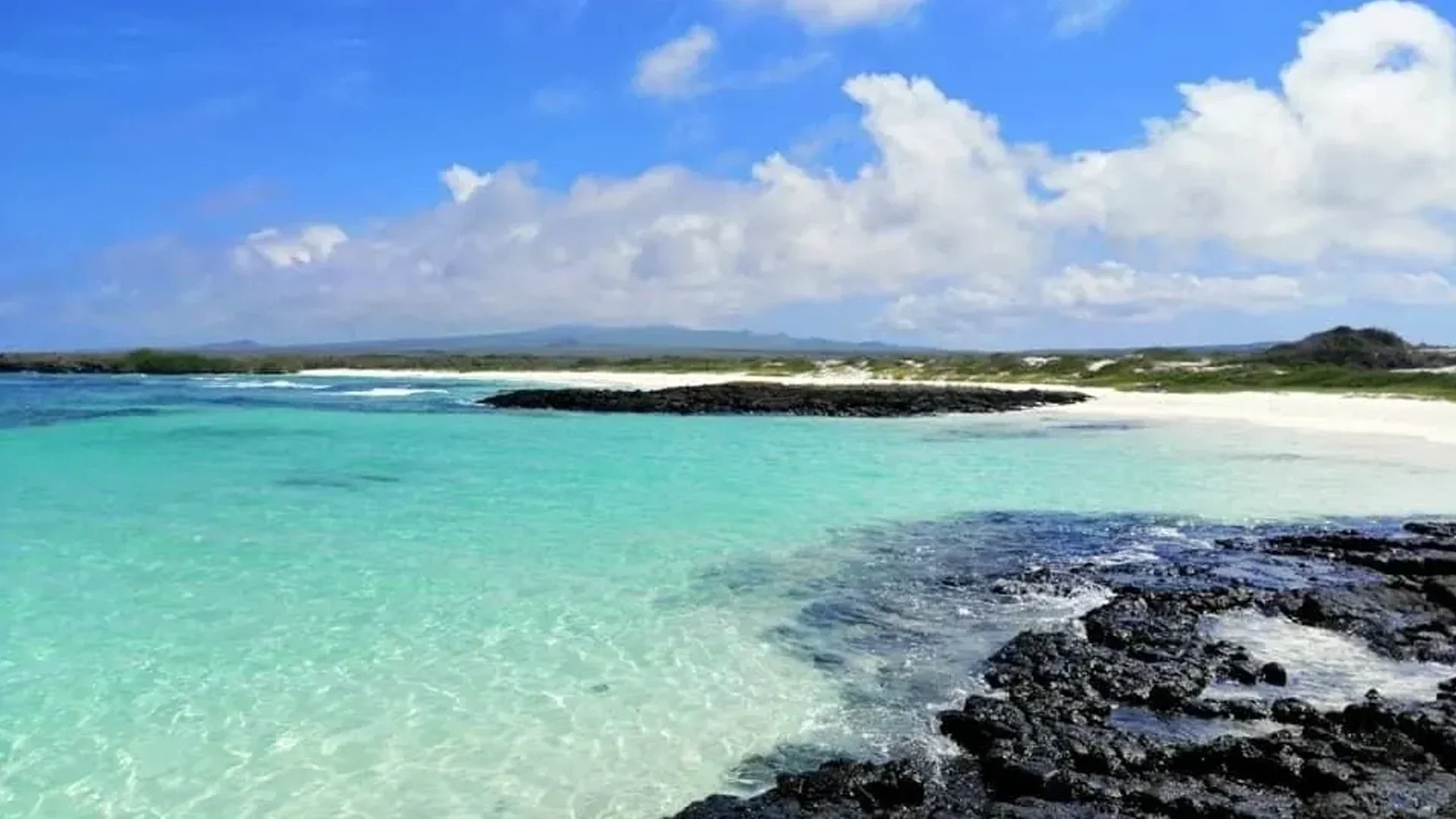 Pristine turquoise salt flat beach with black volcanic rocks and white sand under a blue sky in the Galapagos Islands.