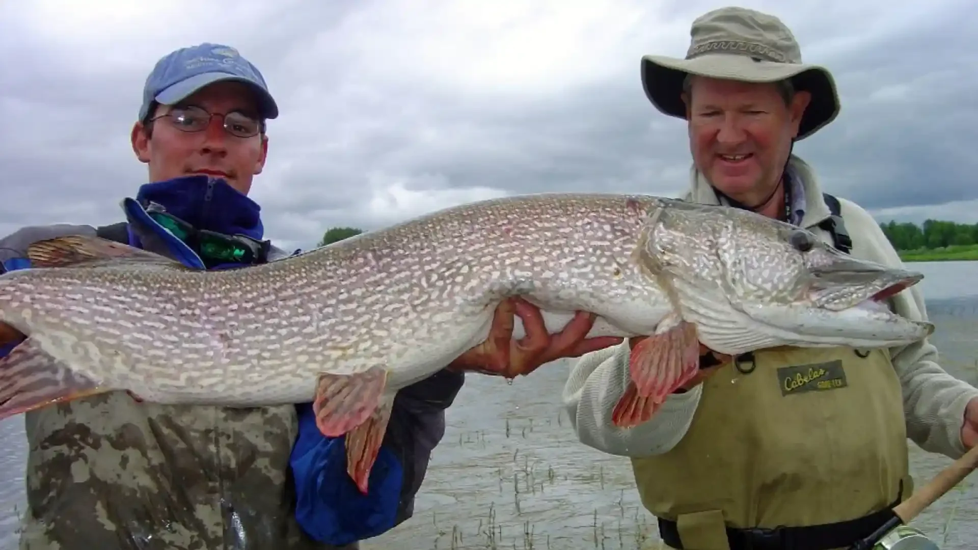 alaska-flyfishing-lodge.html-if-you-love-to-chase-big-fish-the-royal-coachman-s-007.webp
