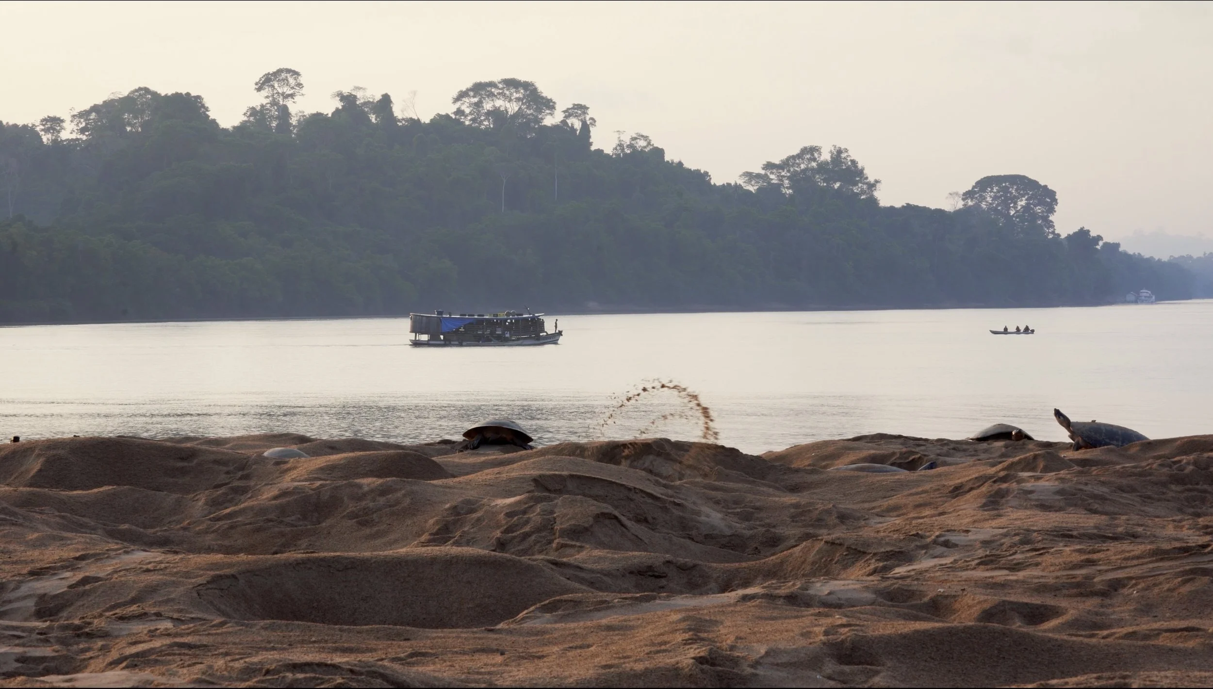 Riverbank with turtles on sandy shore, a boat on the water, and forested hills in the background.