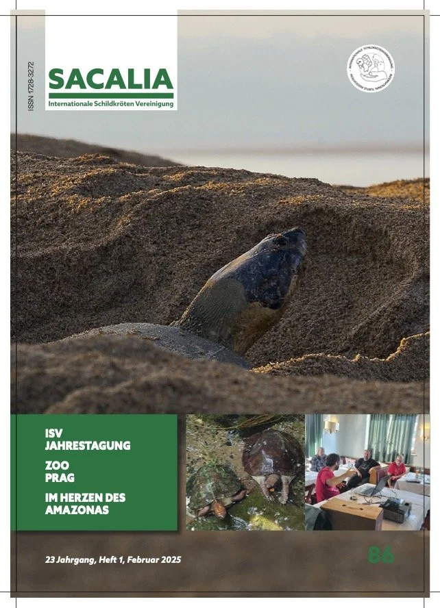 Cover page of a magazine titled 'SACALIA' with a green logo, featuring a large photo of a turtle on a sandy beach, a smaller photo of turtles in water, and a photo of people working together in an office. The text mentions topics about the Prague Zoo and the Amazon.