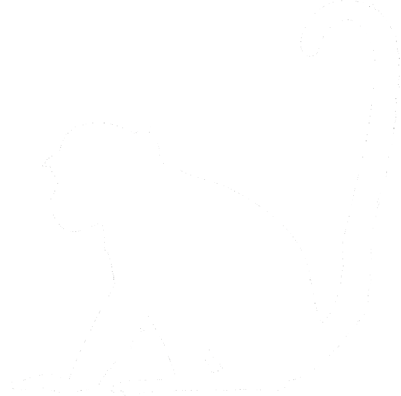 Silhouette of a monkey sitting with a curved tail