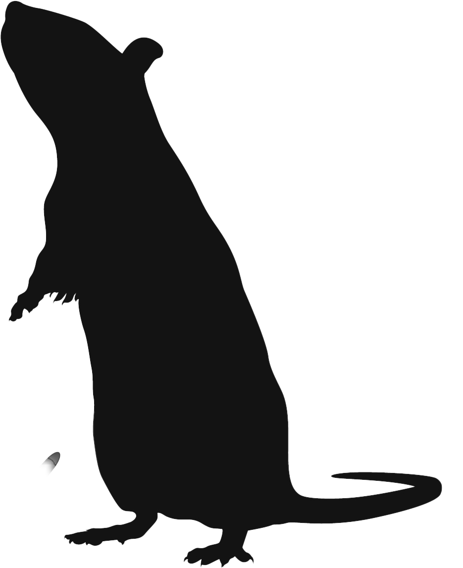 Silhouette of a rat standing on its hind legs.