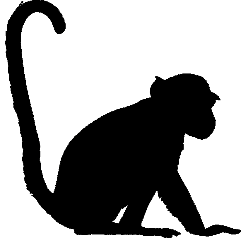 Silhouette of a monkey sitting with a long tail