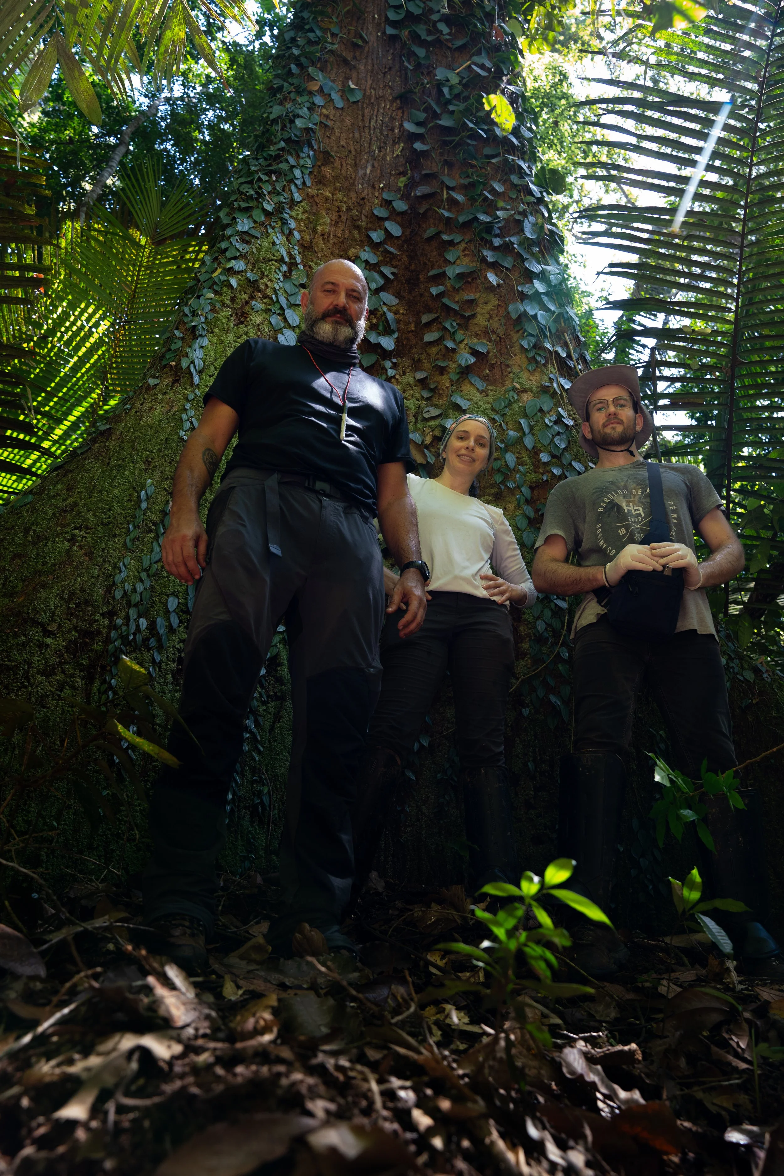 Three people standing in front of a large tree in the jungle, surrounded by lush greenery and vines.