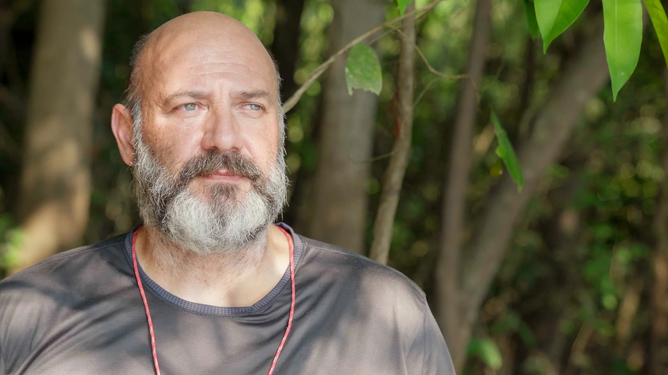 Bald man with a beard standing in a forest, wearing a gray shirt with a red string.